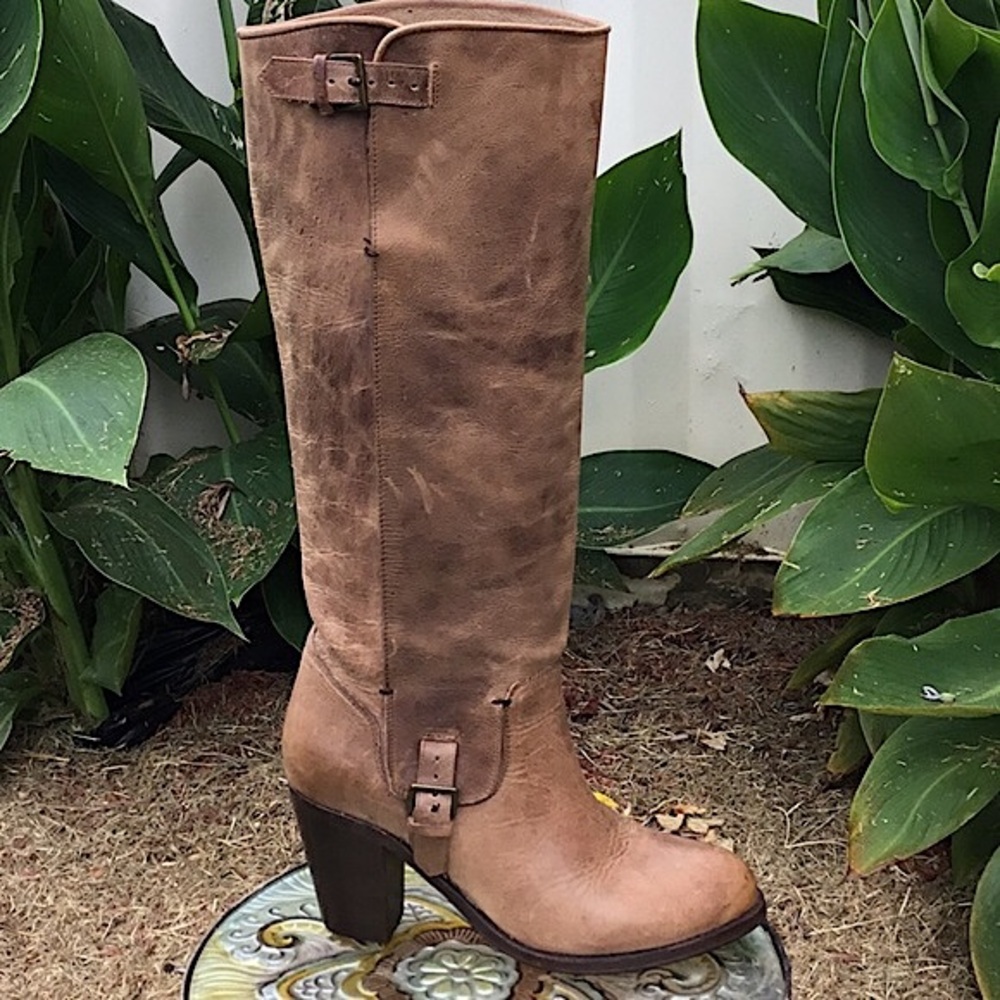 ARIAT Goldcoast Riding Boots (Spiced Cedar)